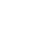 ñ